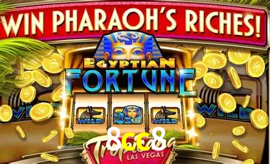 Design Responsivo 8cc8